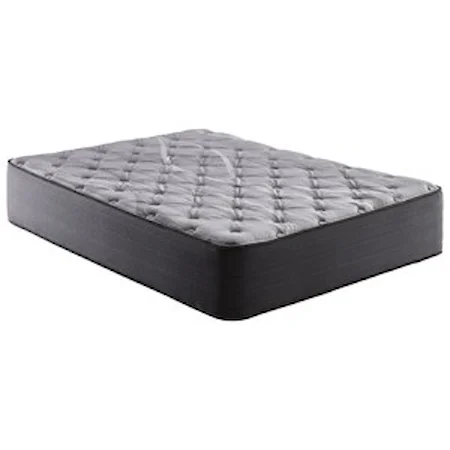 Queen 14" Plush Coil on Coil Mattress